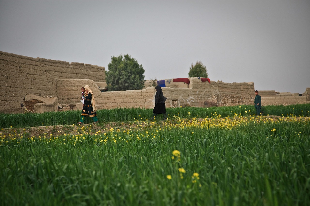Voices of Afghanistan Interview Series: ‘Afghan women are now denied even the right to fresh air’