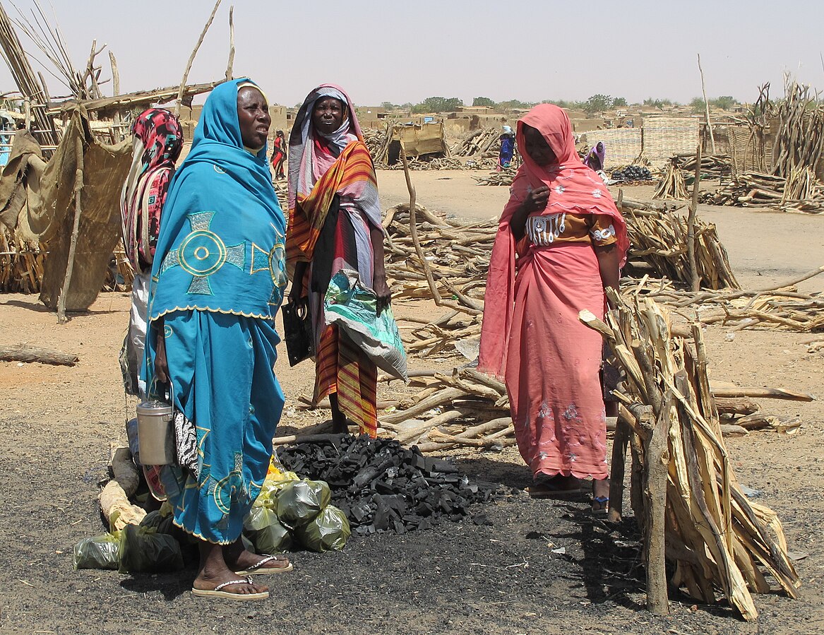 UNICEF calls for action over Sudan cholera outbreak