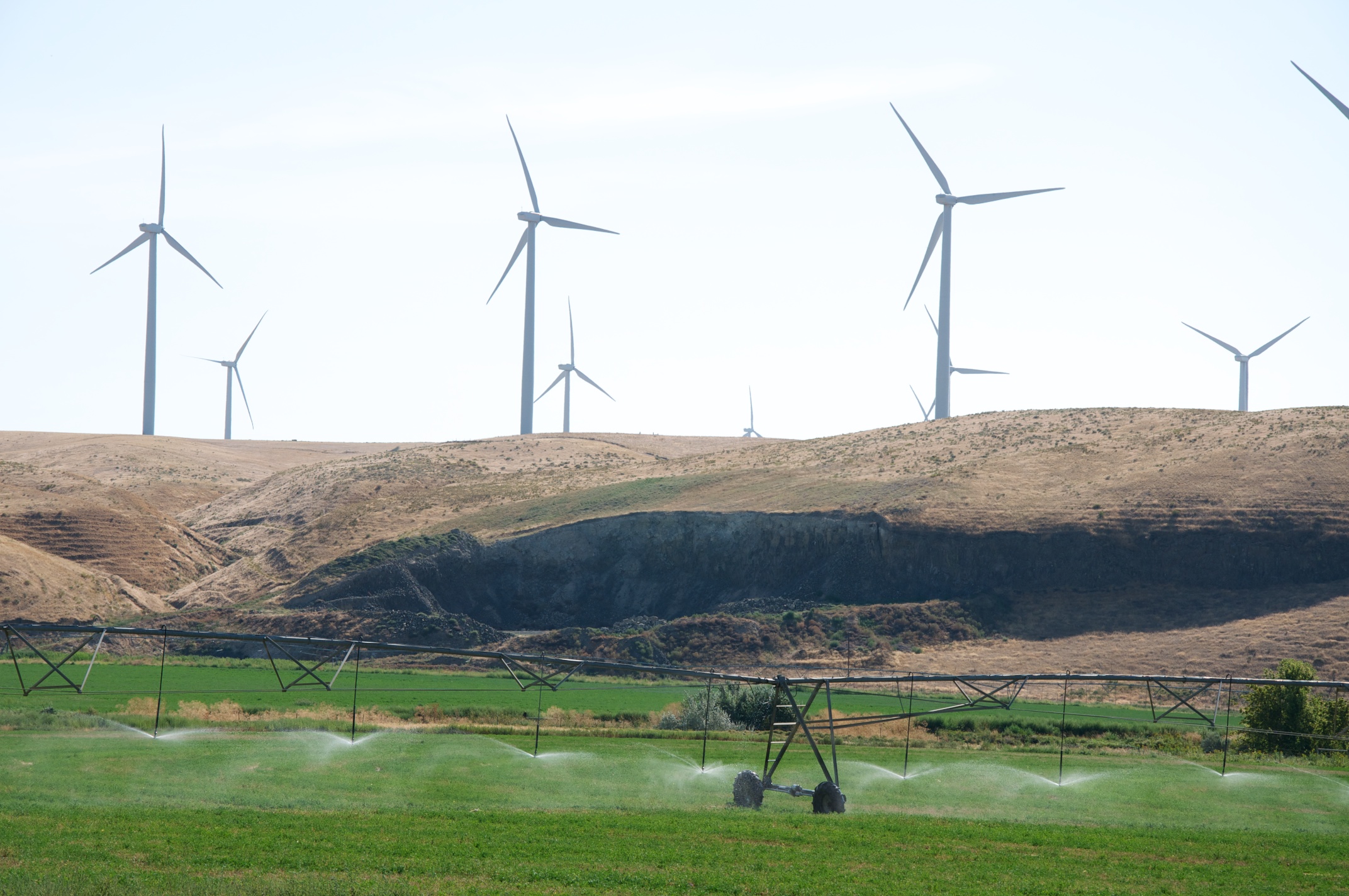 Trump signs executive order targeting wind and solar energy subsidies
